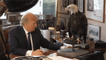 eagle attacks Trump